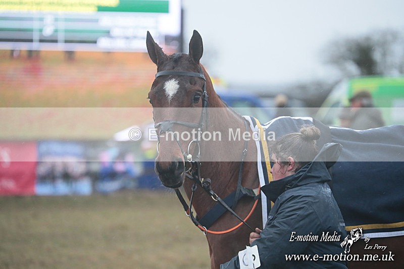 PtP 260125 646 - Cocklebarrow Point-to-Point racing with the Heythrop Hunt 26/01/25