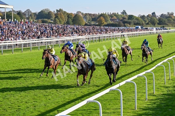 111025-Race 5-Morshdi-0540 - Race 5 Coral 'We're Here For It' EBF Maiden Stakes at York