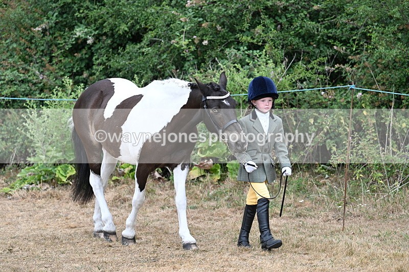 WJ7_9442 - Class 5 Most Handsome Gelding (up to 14.2hh)