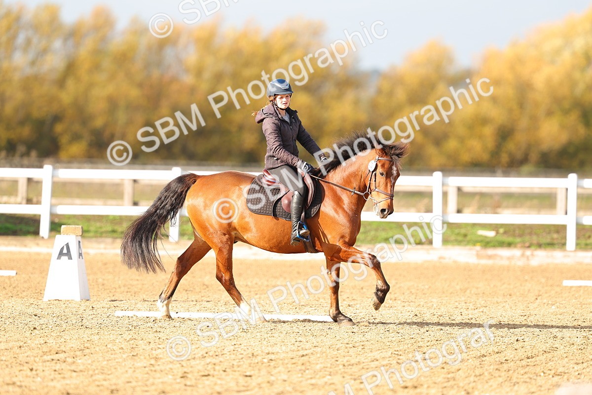 SBM_001210 - Class 13-4-9 - DR P3 CT P3 70cm CT PYO