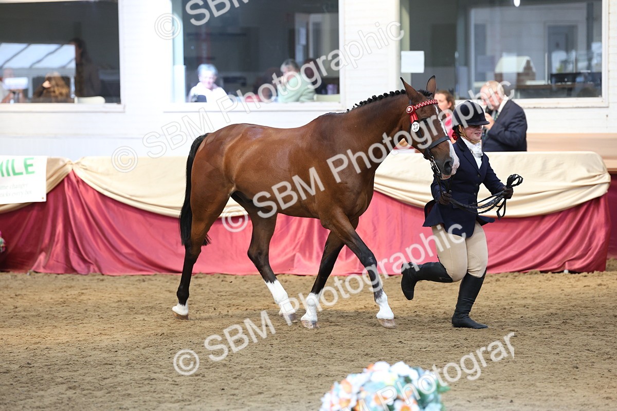 SBM_23576 - Class 904 - Supreme Final - Ridden Diamond