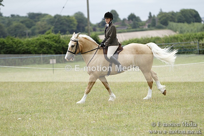 BVR160717-167 - Ring 3 BVRC Show 16/07/17