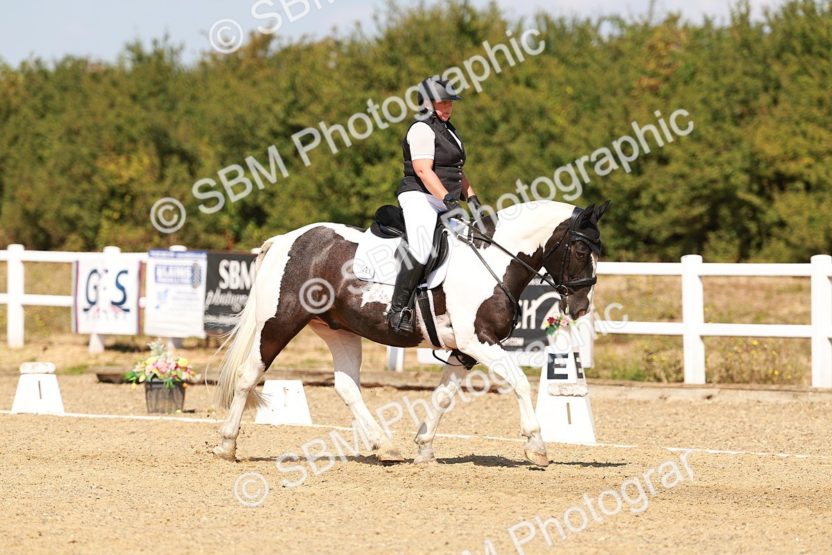 SBM_018283 - Class 9 - N5 Bronze 11.57.13.07