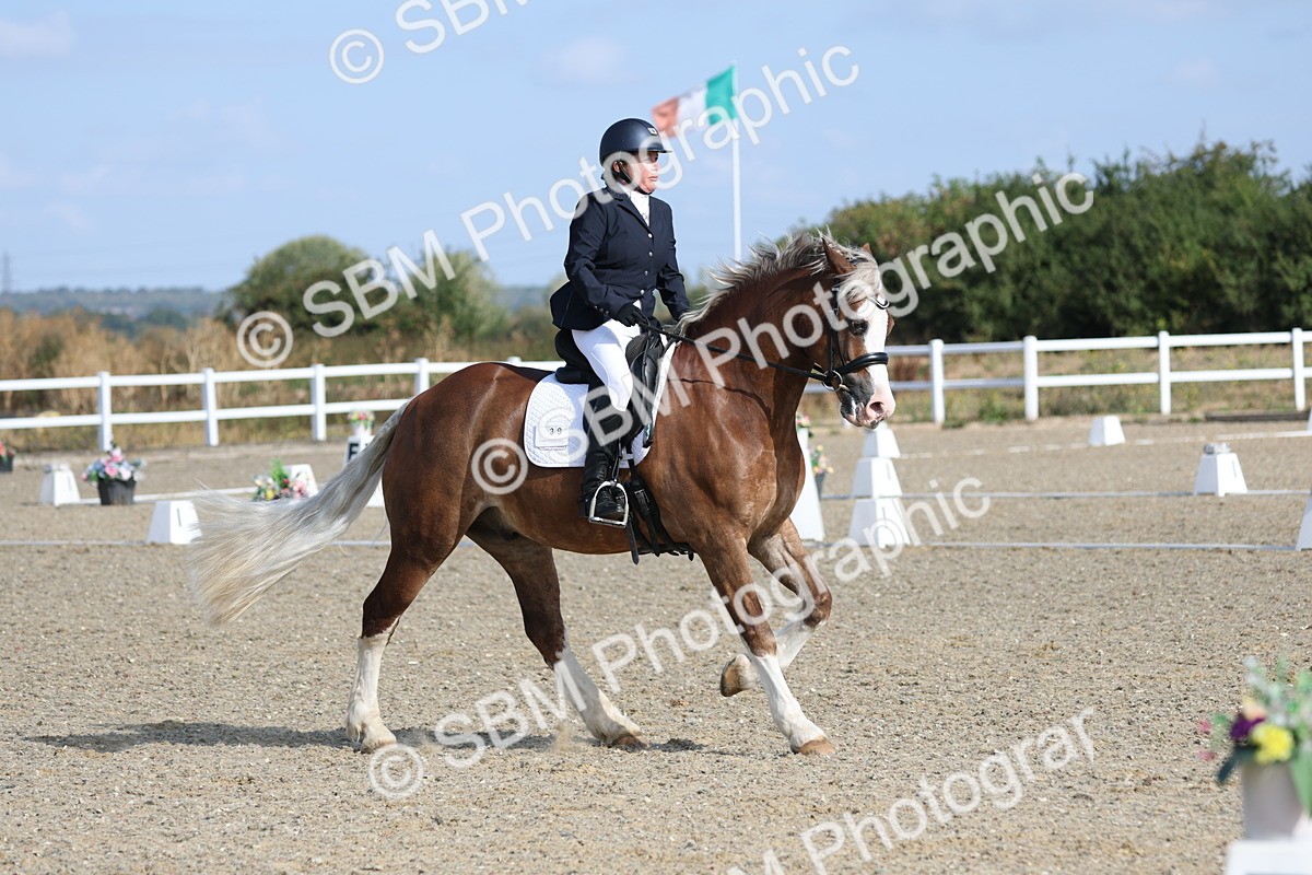 SBM_020254