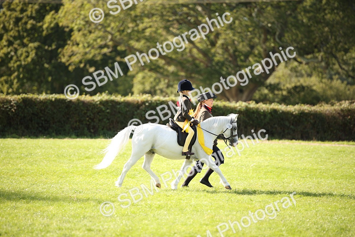 SBM_50101 - S26 - Young Veteran - Ridden