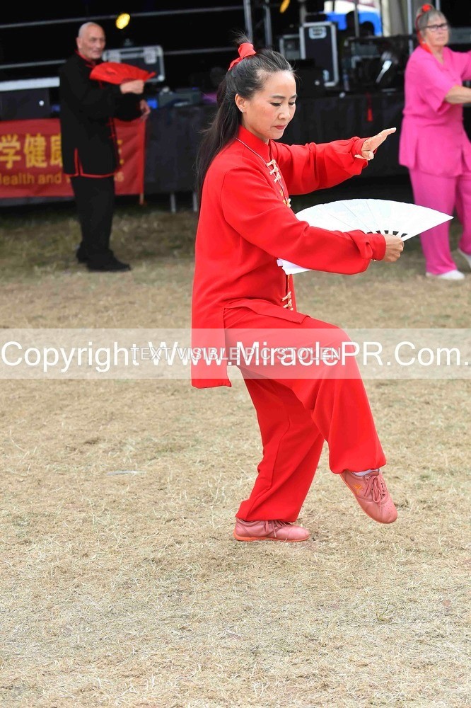 SH4_1596 - Tai Chi with Lisa Kay.