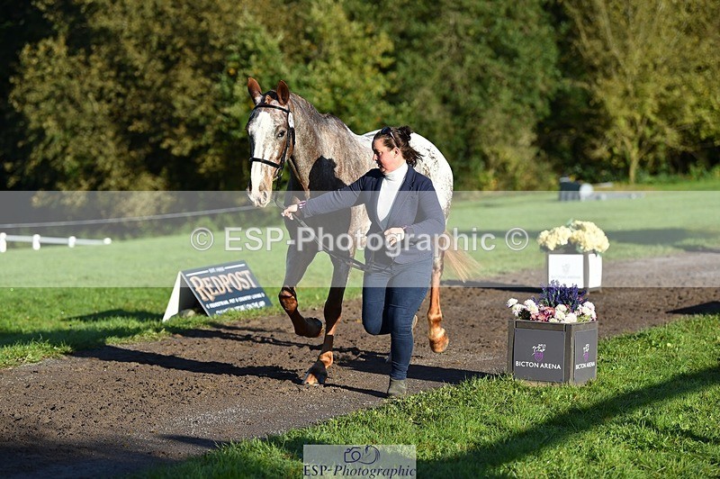 231022-093628-21909 - 412-KELTEK.LUDO-Tracey.Neville-TrotUp+SJ