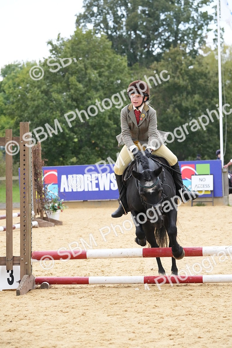 SBM_74548 - J4 - Mini Tour Junior Pony 45cm Championship