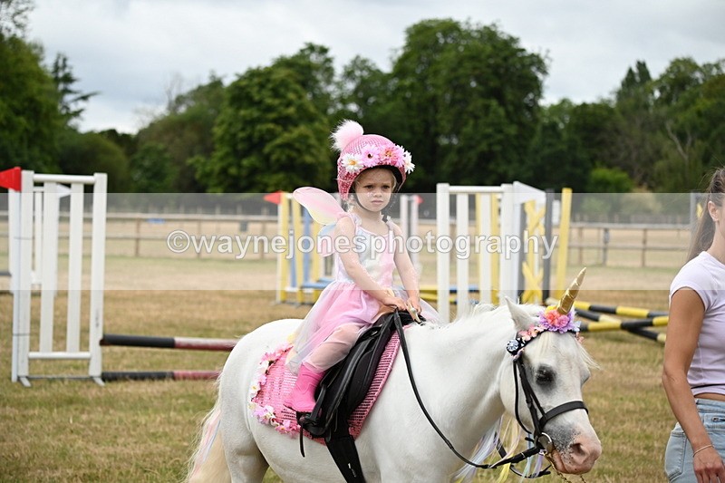 WJ6_4671 - Class 11 Fancy Dress