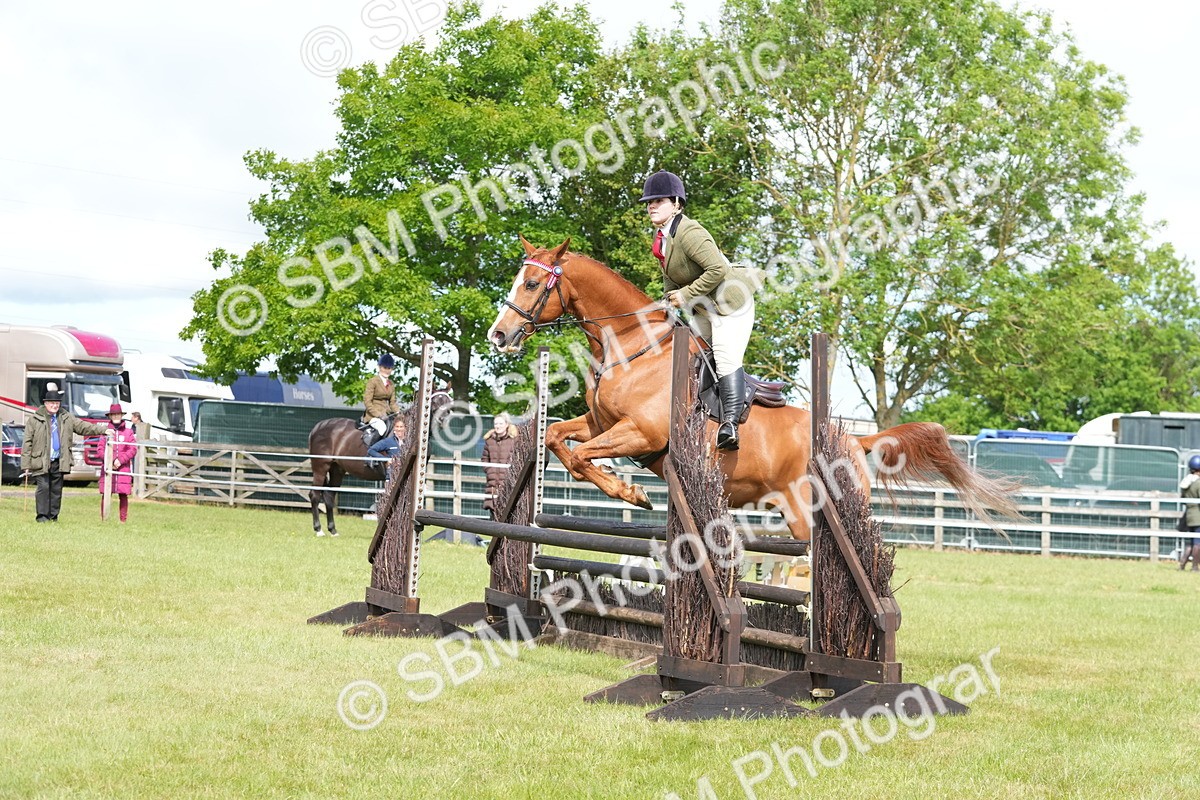 SBM_12901 - Class 99 - RIHS SEIB Working Show Horse