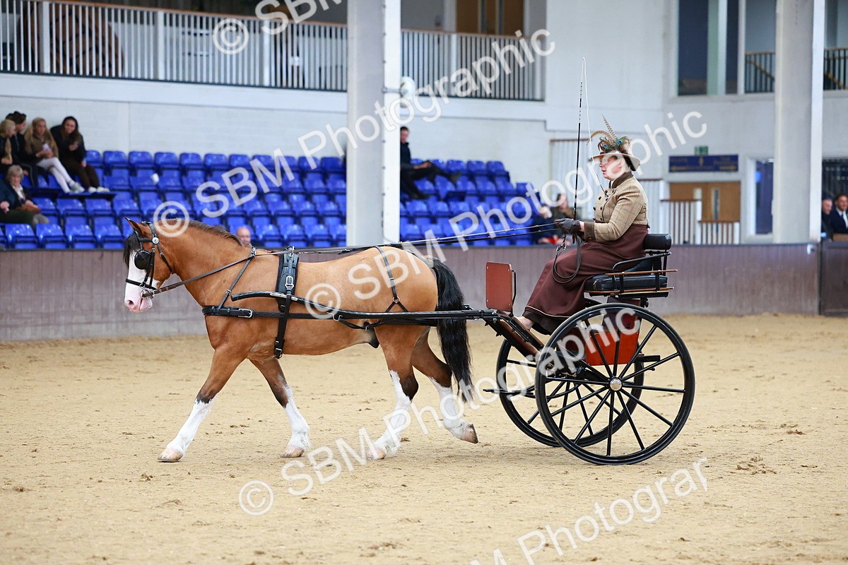 SBM_000132 - Class 3 - Alison Thomas Memorial Lady Whip