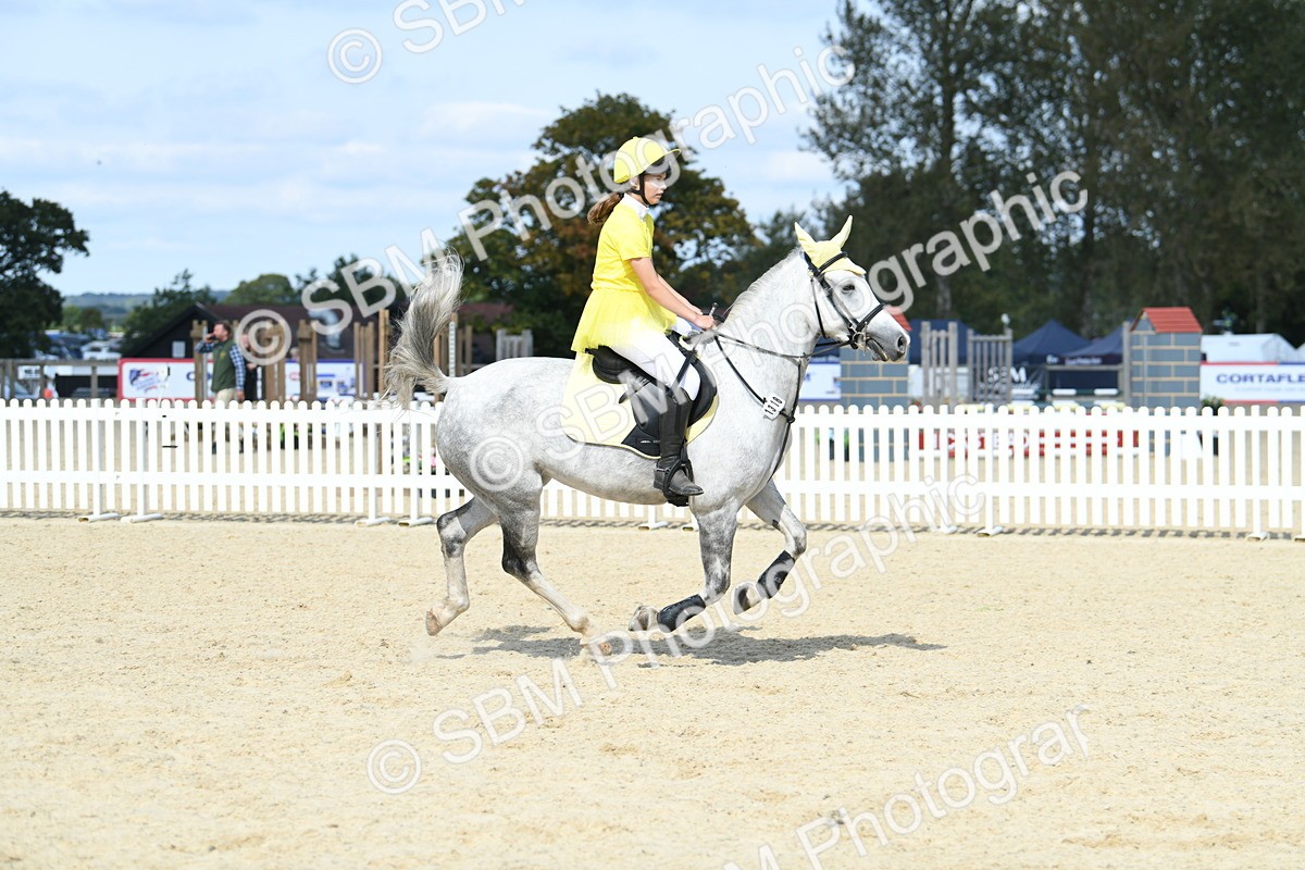 SBM_64778 - J48 - Pairs Jumping Open 70cm & 85cm