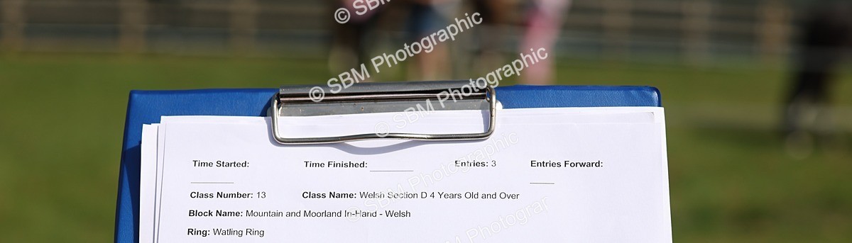 SBM_02277 - Class 6-13 - Mountatin and Moorland In Hand Welsh Breeds