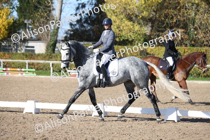 20251102-0800 - Class 5 - Elementary 5