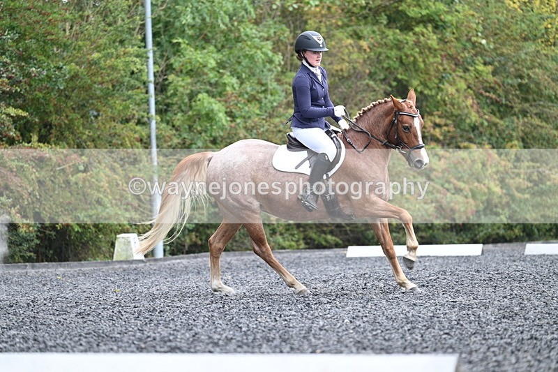 WJ7_3757 - Time 11:04 to 11:38