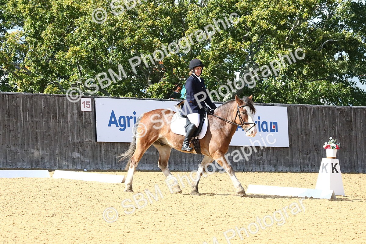 SBM_23600 - D5 - Small Tour Championshop Intro 2