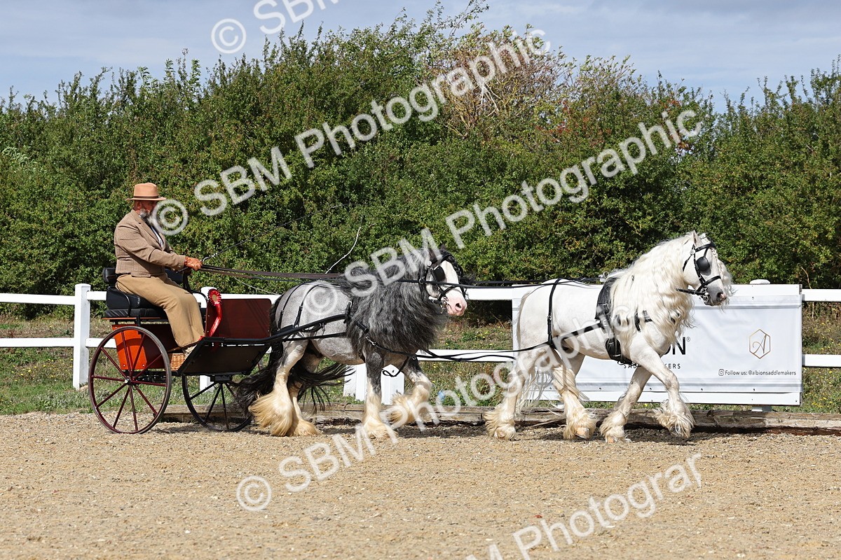 SBM_001266 - Class 16 - Pairs ,Multiples and Tandems
