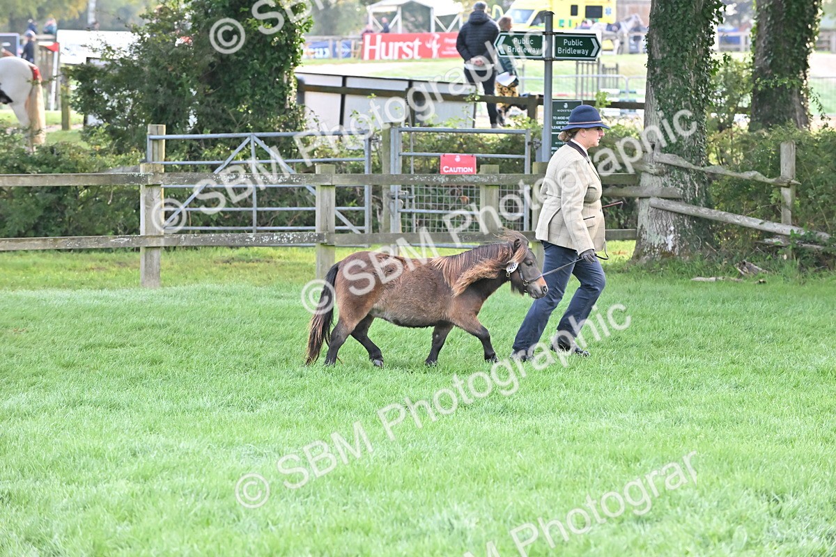 SBM_54606 - S44 - Youngstock In Hand
