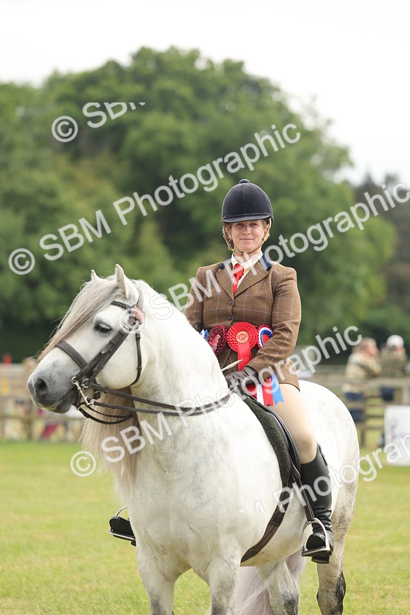 SBM_09162 - Class 78-80 - Ridden M&M Non Welsh Ponies