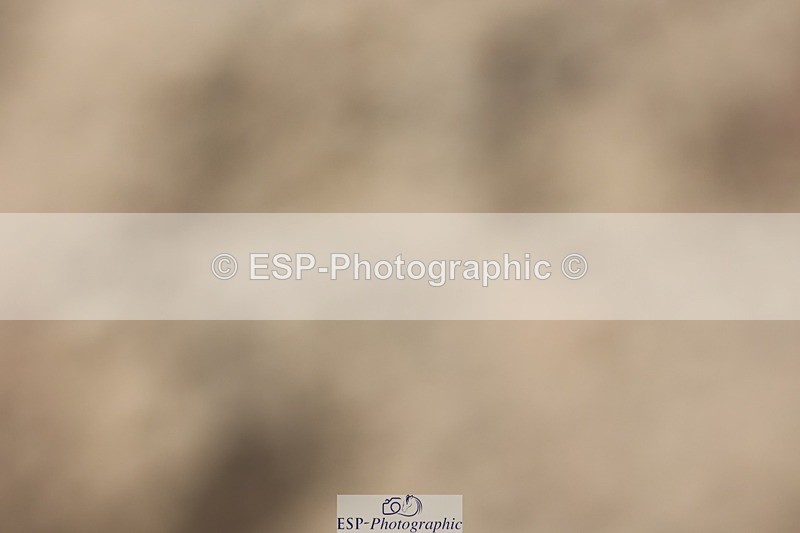 250620-150921-04655 - BD Cls 19 - FEI Inter I