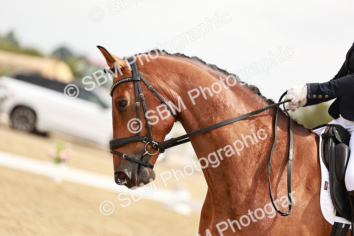 SBM_003023 - Class 6 - Novice 6 Silver - 11.34-12.20