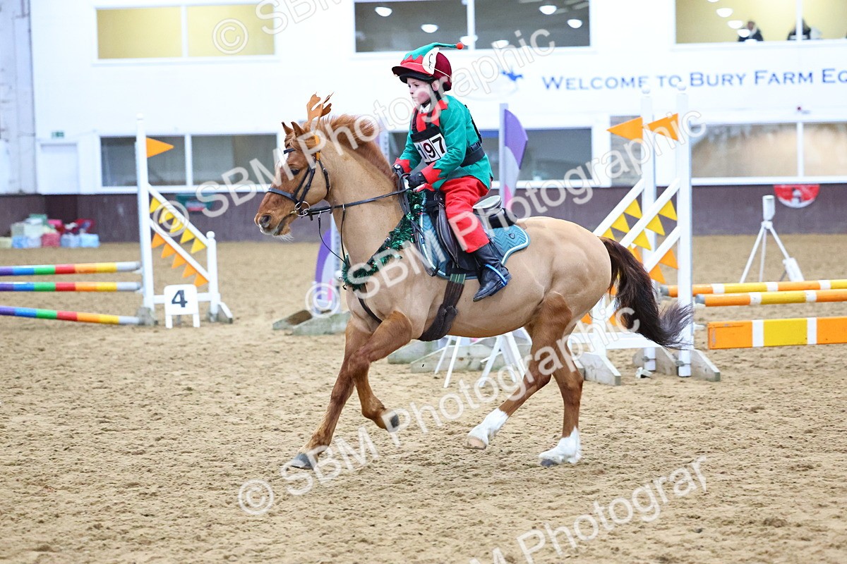 SBM_001366 - Class 3 - Christmas Tree Stakes - 60cm