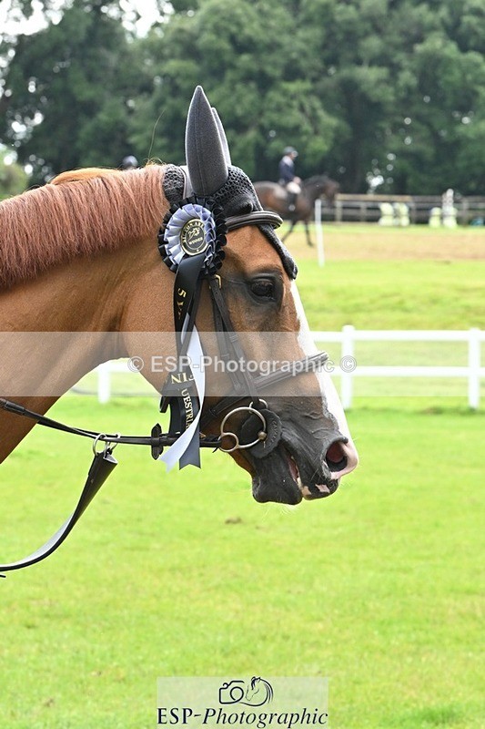 240713-103819-36883 - Cls 146 5 Yr Old Championships