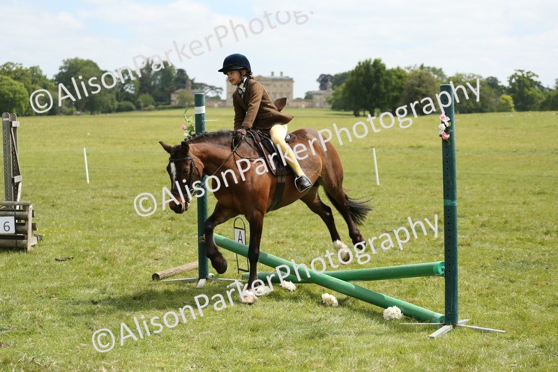 20250517-2906 - Class 25 - Horse & Hound