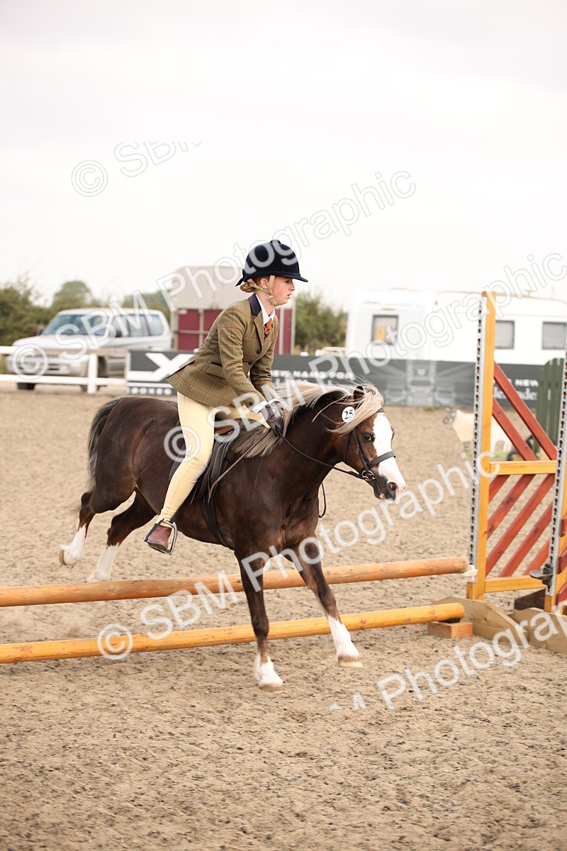 SBM_11692 - Class 404b Junior Working Veteran- 40cm(20+)