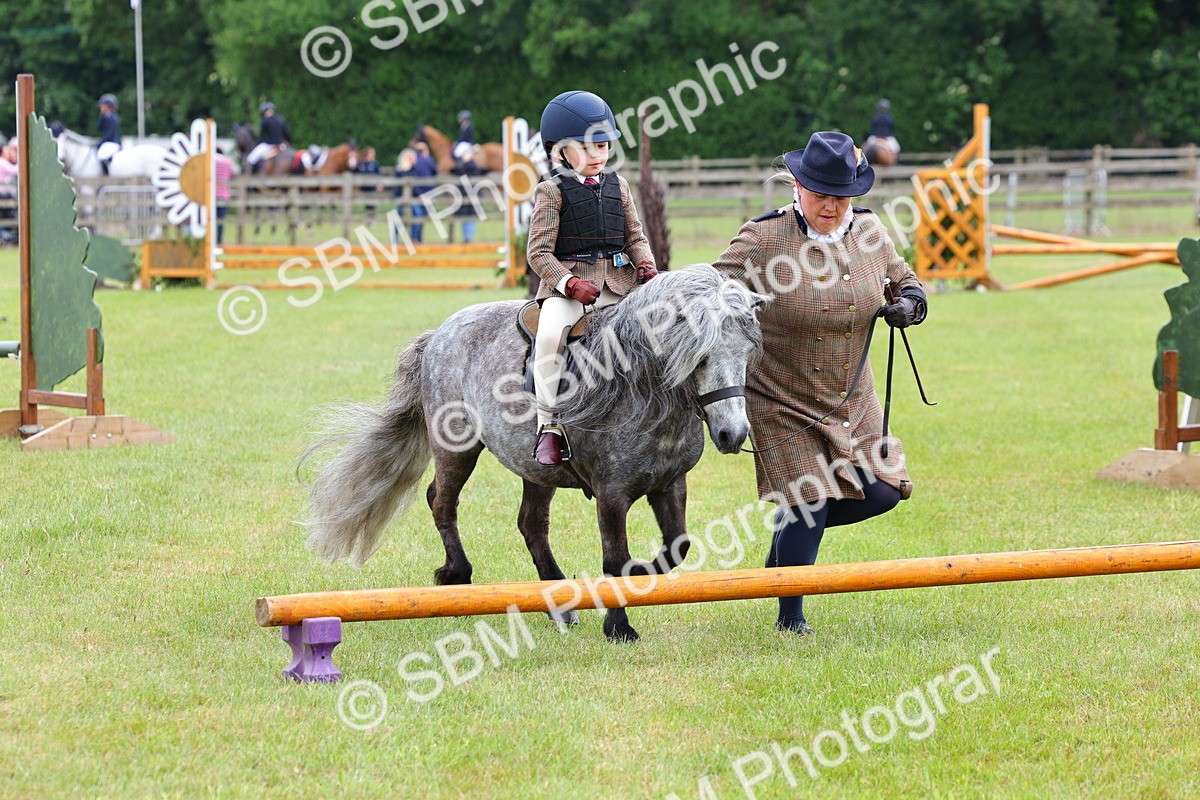 SBM_08117 - Class 42-43 - LIHS BSPS Heritage Working Sports Pony
