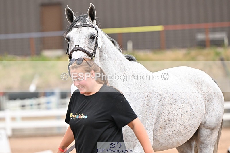 250716-154701-02190 - Trot Up 3.30 to 4.30