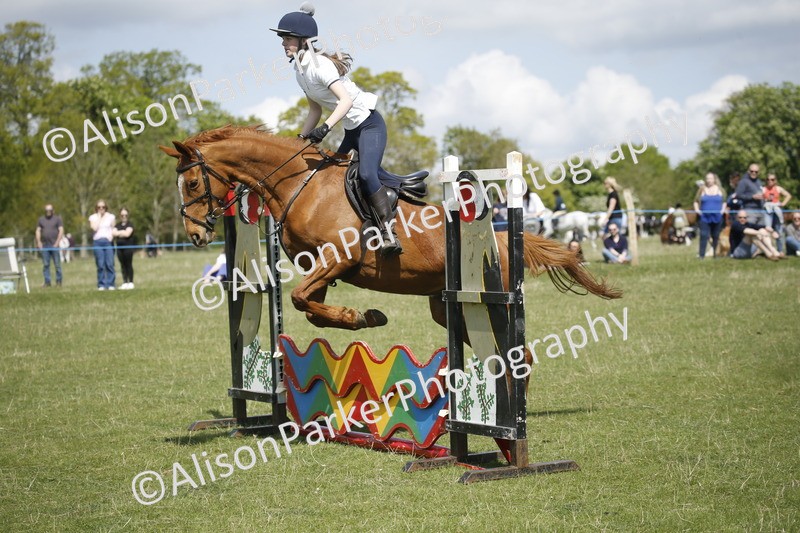 20250427-3528 - Class 14 - Absolute Novice 70cm