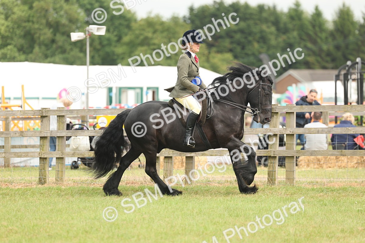 SBM_09167 - Class 78-80 - Ridden M&M Non Welsh Ponies