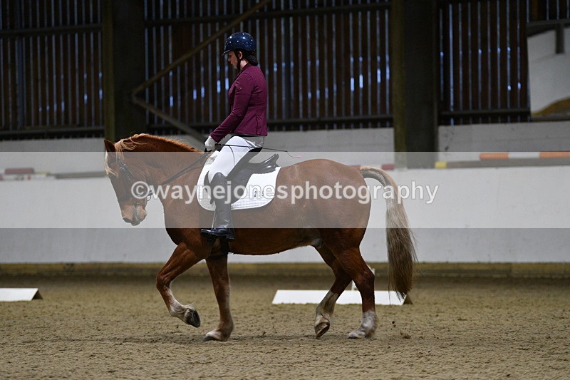 WJ5_8612 - Class 5 Novice Test 3