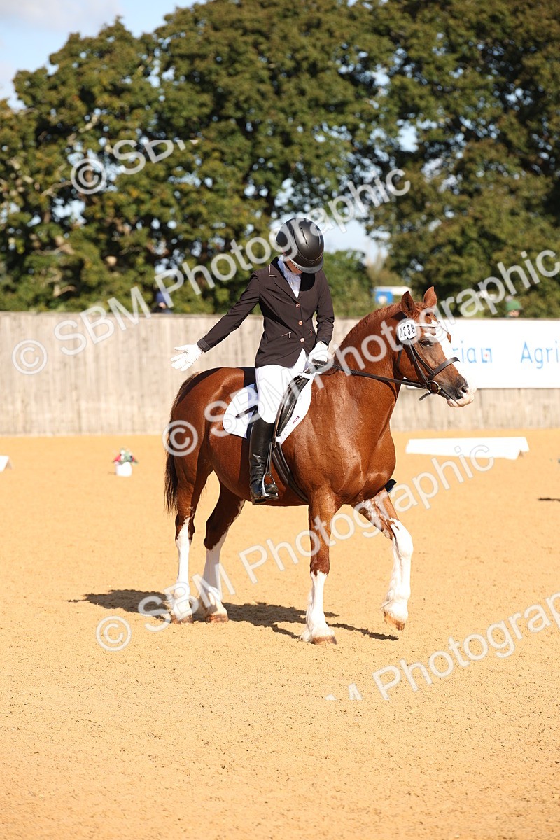 SBM_01919 - D2 Small Tour Championship Intro C