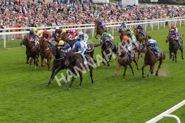 240823-Race 3-Ropey Guest-5173 - Race 3 3.00pm Clipper Handicap