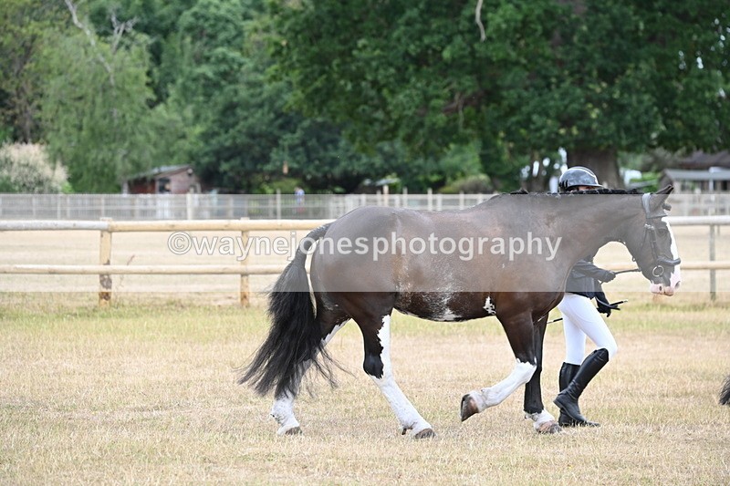 WJ6_7853 - Class 10 Coloured in Hand