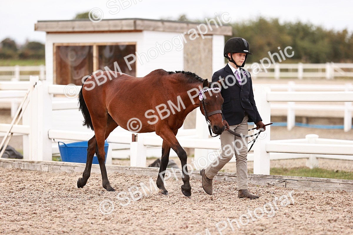 SBM_18546 - Class 421 - Childs Best Friend - Jnr