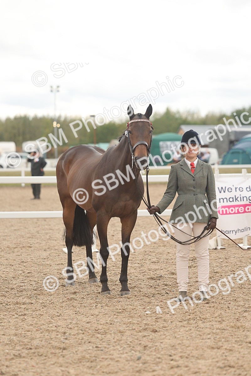 SBM_17120 - Class 313 - IH Retired Racehorse