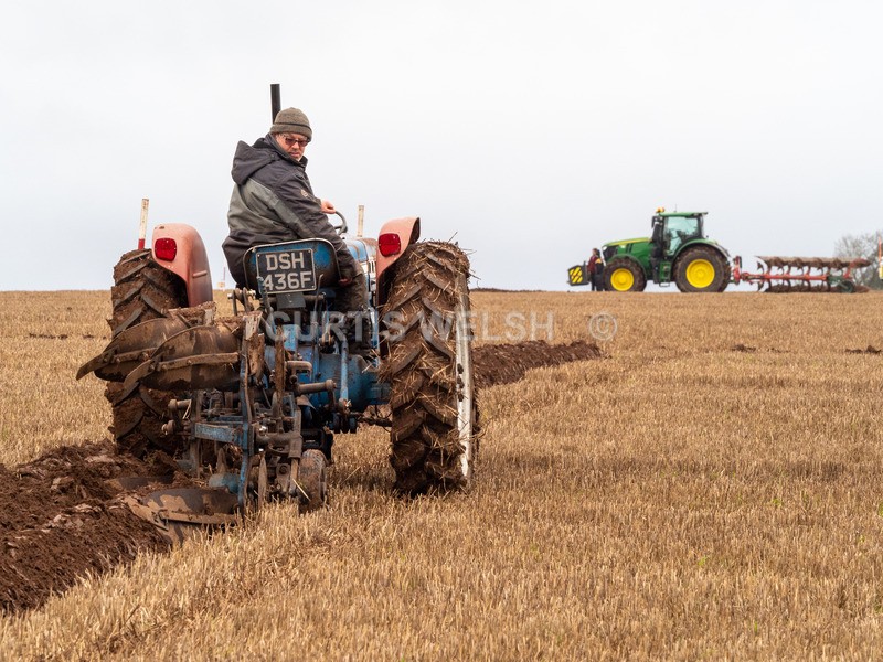 PB260014 - Lauderdale Ploughing Society - Ploughing match 26-11-22