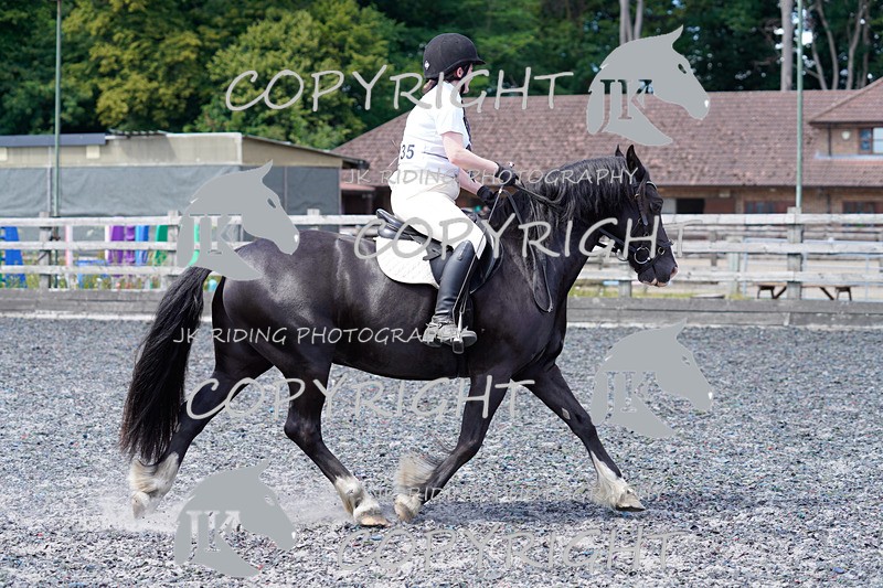_DSC1317 - JUMPING SHOTS