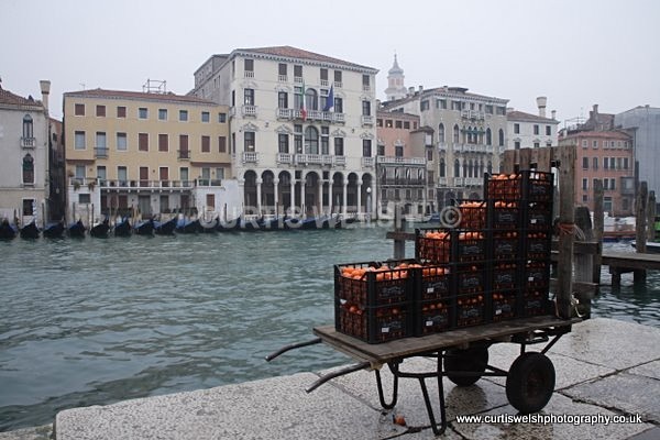 XT6I4365Venice 2011 - VENICE