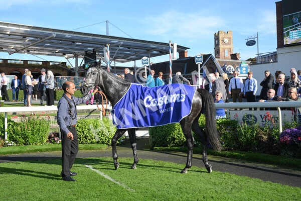 yr08102021r3-51 - Race 3 3.15pm Download The Casumo App Today Handicap
