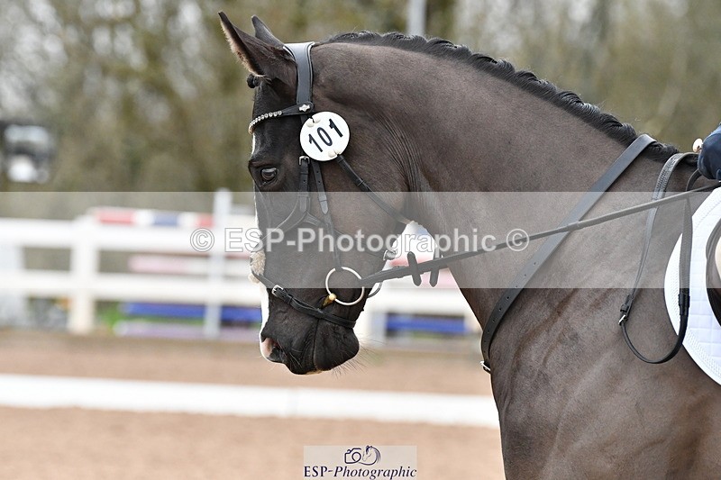 231217A-120319-00890 - Unaffiliated Classes