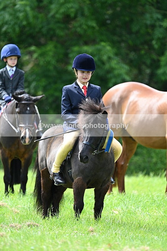 WJ7_1572 - Class 11 Condition & Turnout