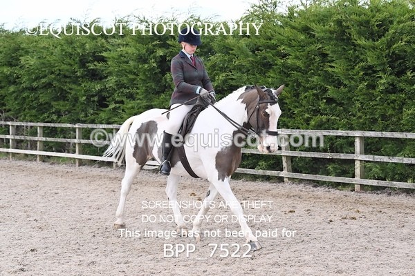 BPP_7522 - RING 1  (RIDDEN HORSES / IN HAND / VETERAN ETC)