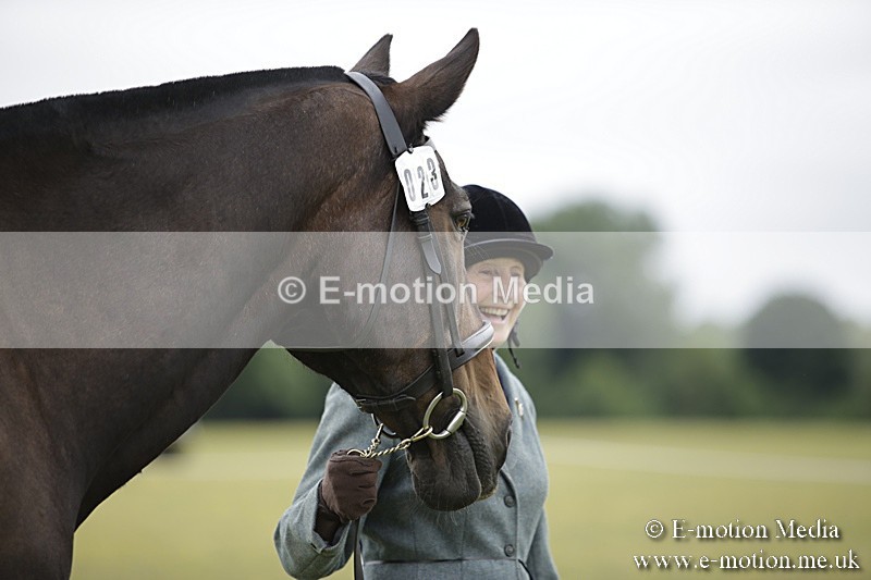 BVR160717-718 - Ring 2 BVRC Show 16/07/17