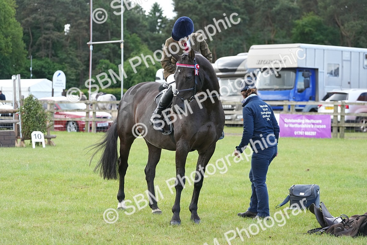 SBM_12958 - Class 99 - RIHS SEIB Working Show Horse