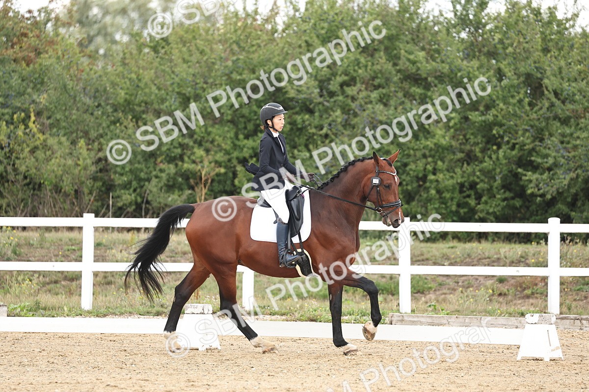 SBM_002517 - Class 7 - Novice 2 Warm Up
