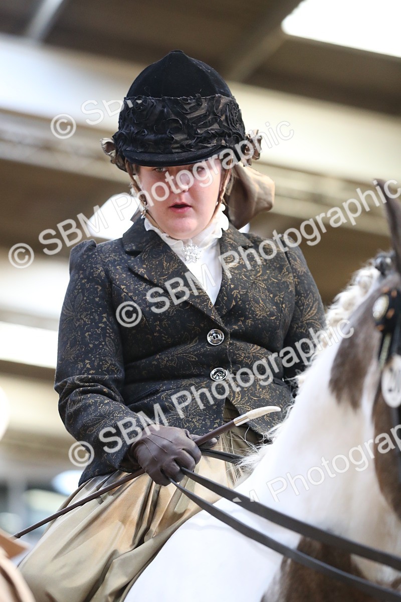 SBM_11259 - Class 104 Ridden Costume - Astride Junior